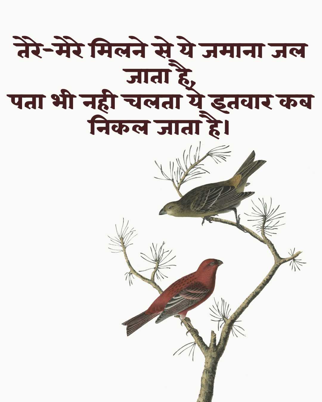 Good Morning
