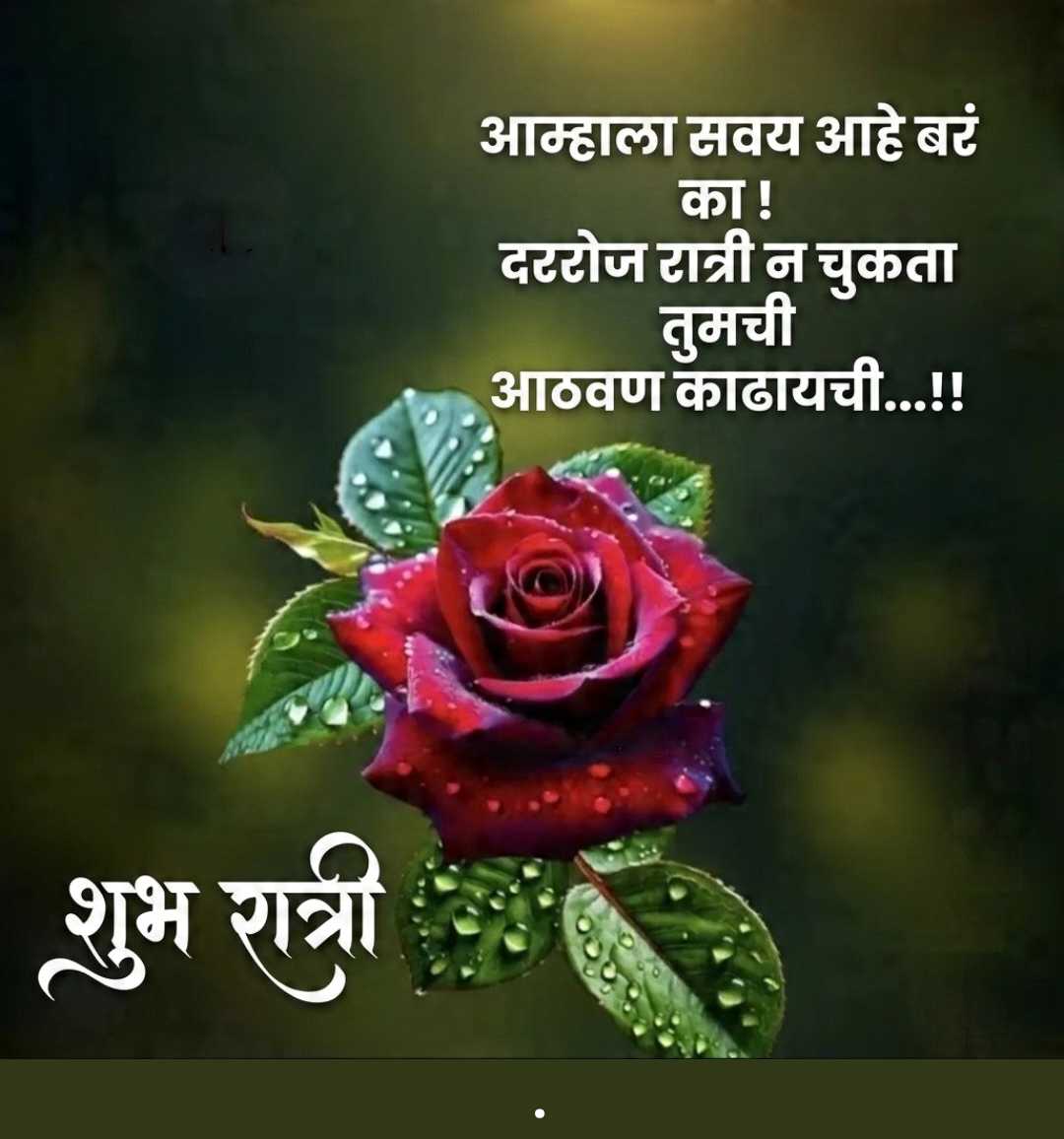 Good Morning
