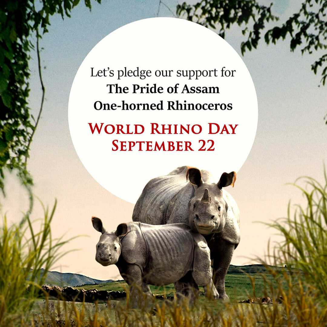 World Rhino Day