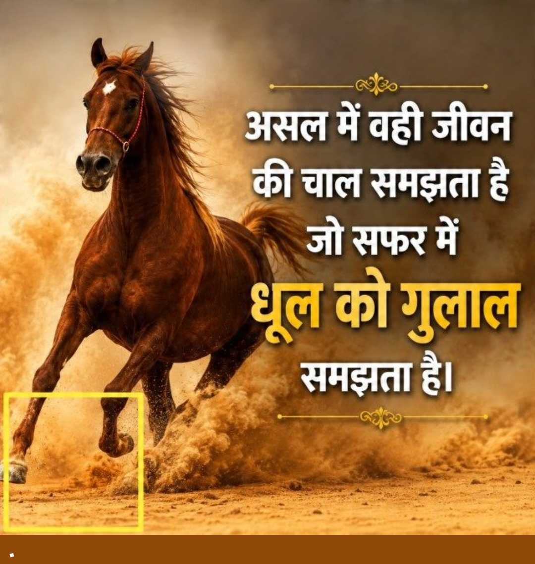 Good Morning