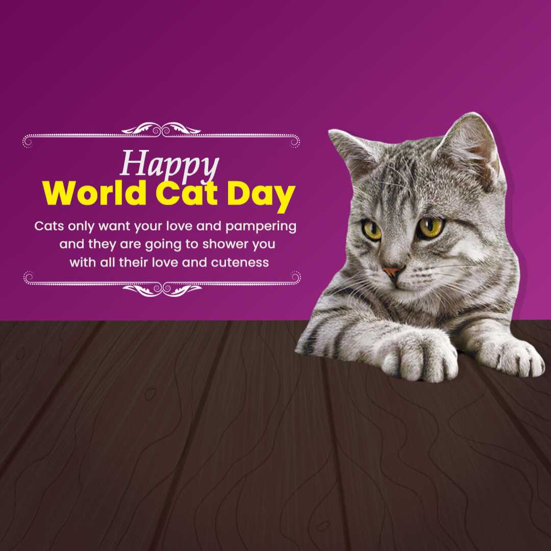 World Cat Day