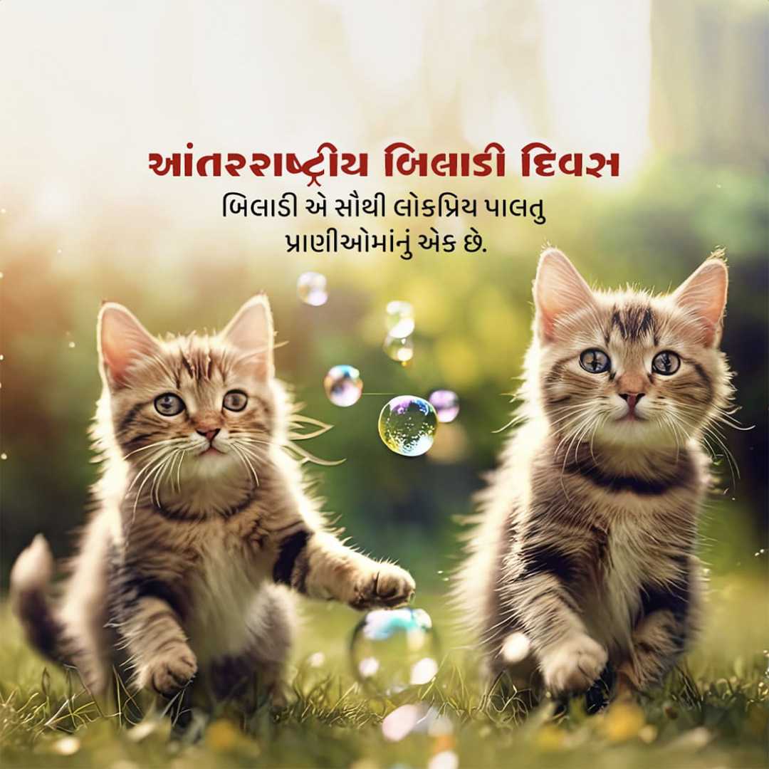 Good Morning
