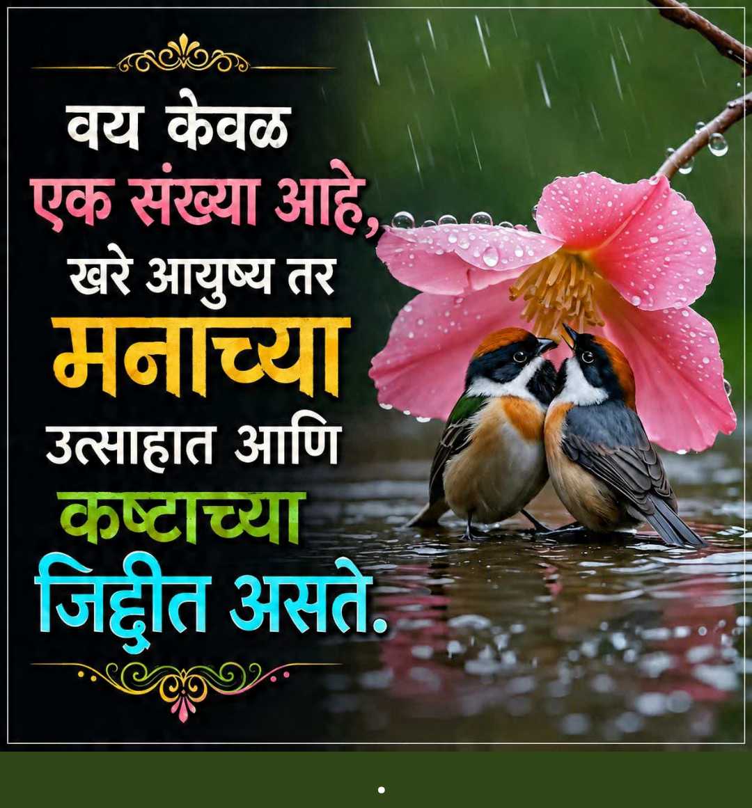 Good Morning
